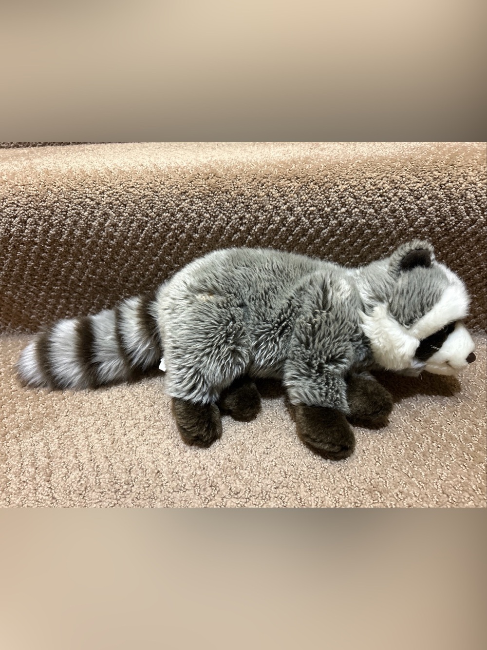 Ganz Webkinz Signature Woodland Raccoon Plush Stuffed Animal WKS1004 Nice!